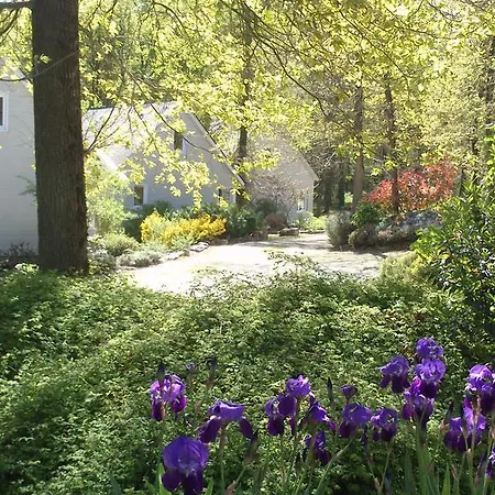 Village Le Bois De Terrefort *